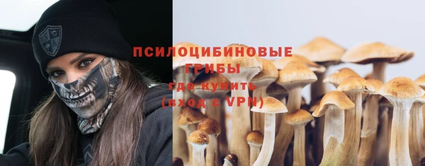 тгк Алексеевка