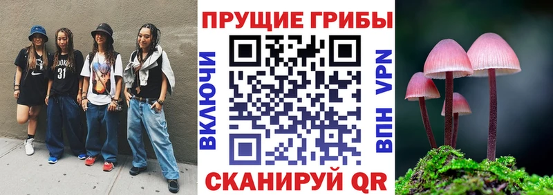 Псилоцибиновые грибы прущие грибы Большой Камень